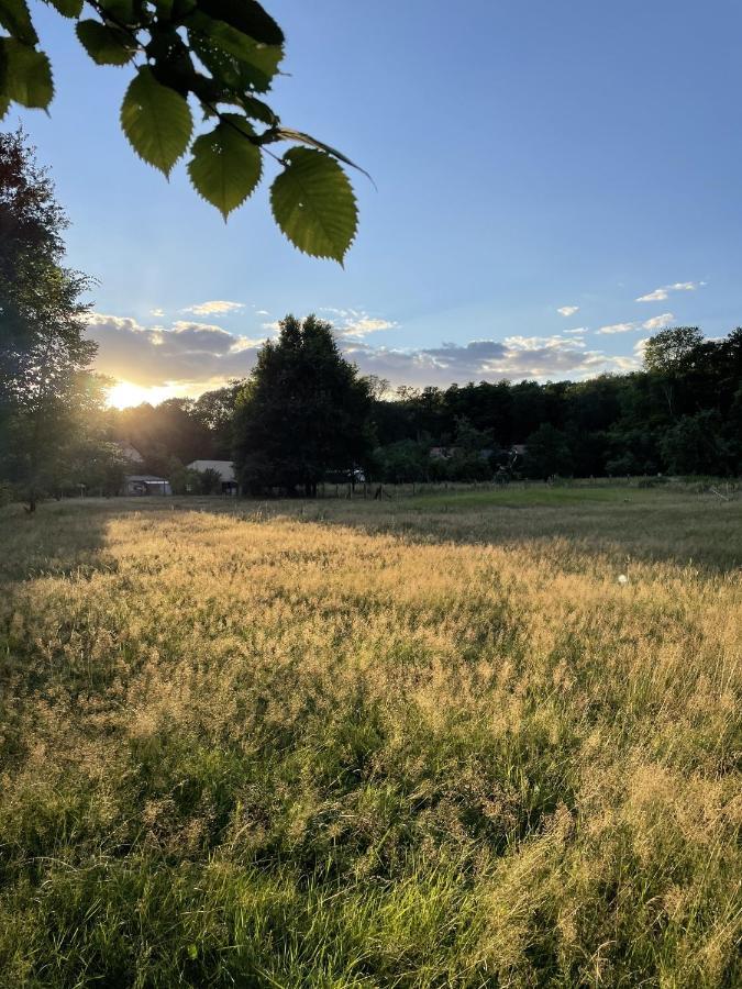 Apartmán Spreewaldhaus Am Landgut - Pretschen Markische Heide Exteriér fotografie