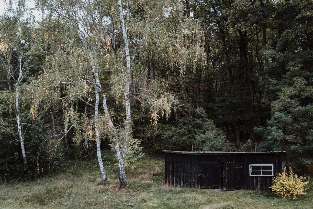 Apartmán Spreewaldhaus Am Landgut - Pretschen Markische Heide Exteriér fotografie